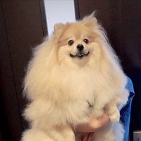 笑顔