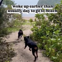 海まで全力疾走！