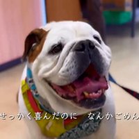 病院だったまめちゃん