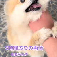ぎゅっ♡