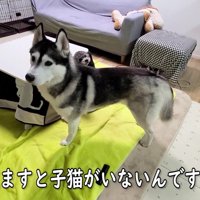 「じゅんちゃんがいない！」