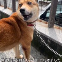 保健所に連絡をして再会