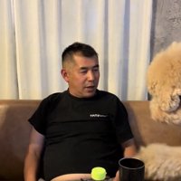 人に近づく犬