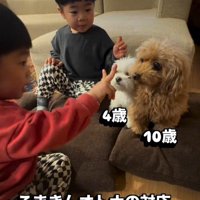 圧倒されながらも大人の対応