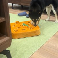 知育おもちゃで遊ぶくろべえ君7