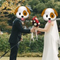 ウエディングフォトを撮影