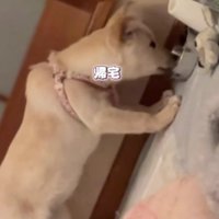 水をゴクゴク飲んで…