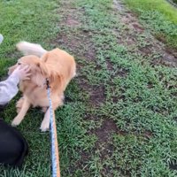 ナデナデしたら…