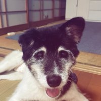 笑顔になったツナ君