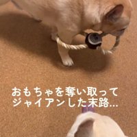 不思議な状態に