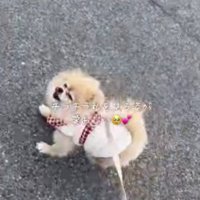 いつも全力疾走だよ！！