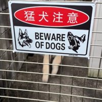 猛犬注意の看板にドキドキ