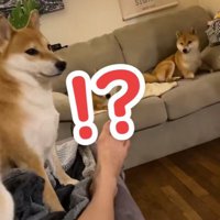 突然の大声にびっくり