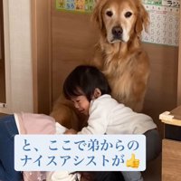 弟のナイスアシスト！