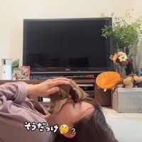 顔の上の犬を撫でる