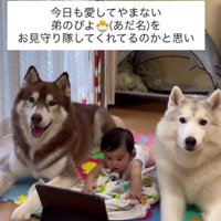 赤ちゃんは動画を視聴中♪