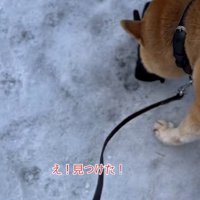 手袋を見つけた朔くん