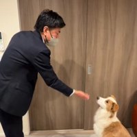 スーツのまま遊び始める