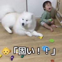 ザッ！！