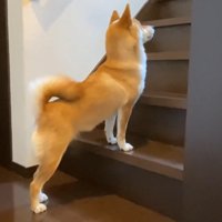 「パパまだ！？遅いよ～」