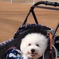 ミルクくんのナイスリアクション2