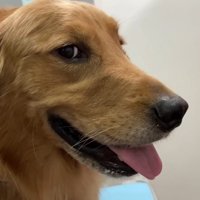 診察室でもご機嫌