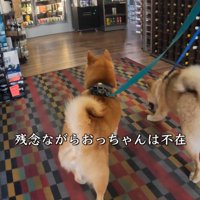 酒屋に寄って行くことに