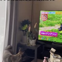 「いなかったなぁ」