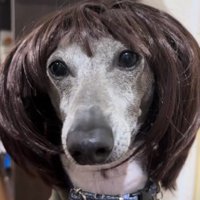 「サラダはあるかしら？」