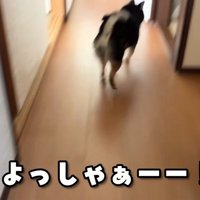 「ピクニックだ～！」と大喜びで玄関へ