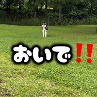 「おいで」