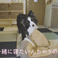 「一緒に寝たいの？」と聞いたら…
