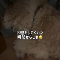 かまぼこちゃんに触れるママ