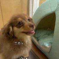 愛嬌抜群な悠ちゃんでした！！
