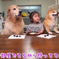 「待ってね」