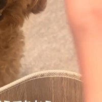 人差し指