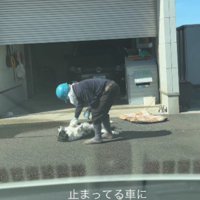 車の中にいたら…