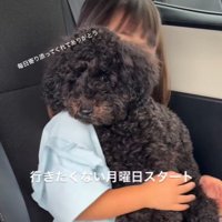 音くんが寄り添う