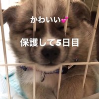 サスケくんの変化4