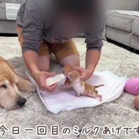 「大丈夫かな？」