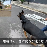 歩くスピードがアップ！