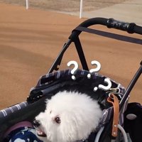 ミルクくんのナイスリアクション8