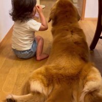 一旦正面向きになり…