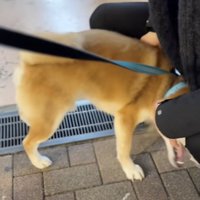 全力愛情表現！