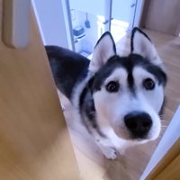 「ちょっと来てもらえます…？」