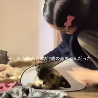1歳の子犬さんでした