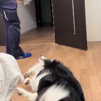 優しく撫でてくれた