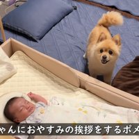 「おやすみ～。また明日ね♡」
