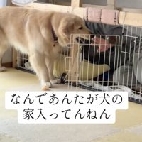 やっと！！