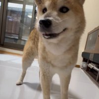 「なかなかのものでしょ？」